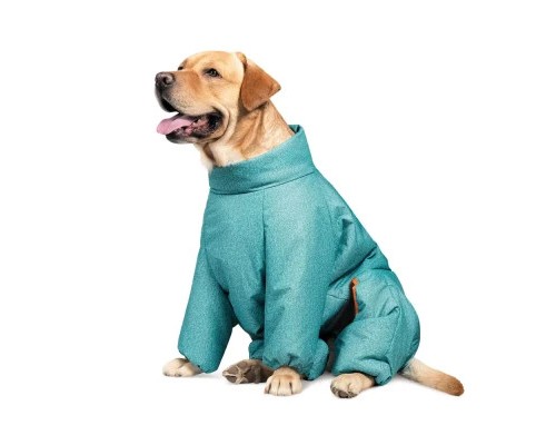 Комбінезон для тварин Pet Fashion «Cold» 4XL (бірюзовий) (4823082426027)
