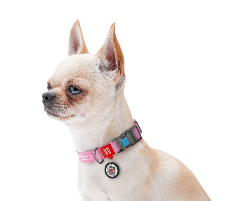 Нашийник для тварин WAUDOG Re-cotton з QR паспортом світловідбивний Ш 20 мм Д 28-40 см рожевий (02887)