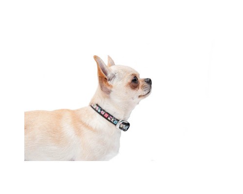 Нашийник для тварин WAUDOG Design з QR паспортом 