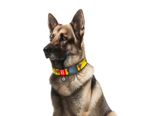 Нашийник для тварин WAUDOG Nylon з QR паспортом 