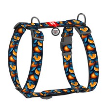 Шлея для собак WAUDOG Nylon з QR-паспортом анатомічна H-подібна 