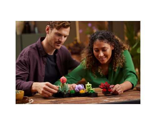 Конструктор LEGO Botanicals Сукуленти (10309-)