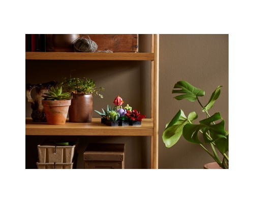 Конструктор LEGO Botanicals Сукуленти (10309-)