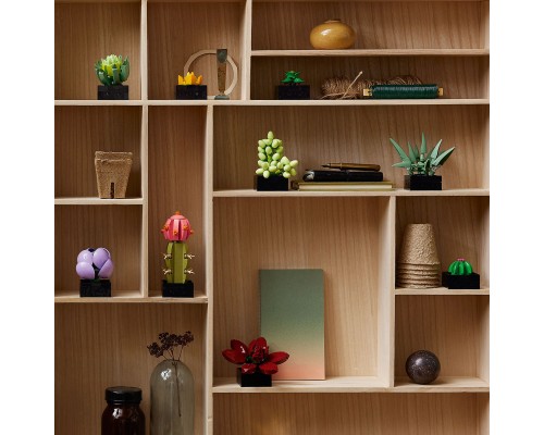 Конструктор LEGO Botanicals Сукуленти (10309-)