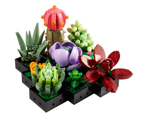 Конструктор LEGO Botanicals Сукуленти (10309-)
