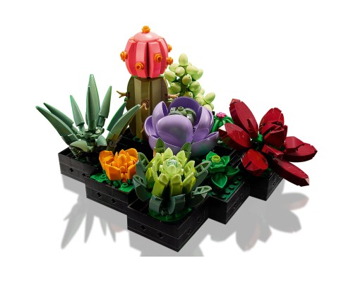 Конструктор LEGO Botanicals Сукуленти (10309-)