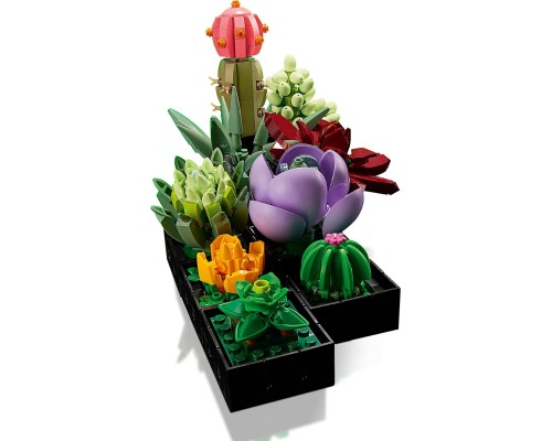 Конструктор LEGO Botanicals Сукуленти (10309-)