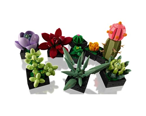 Конструктор LEGO Botanicals Сукуленти (10309-)