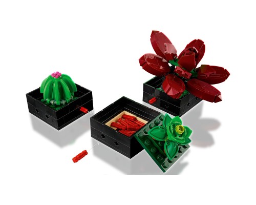Конструктор LEGO Botanicals Сукуленти (10309-)