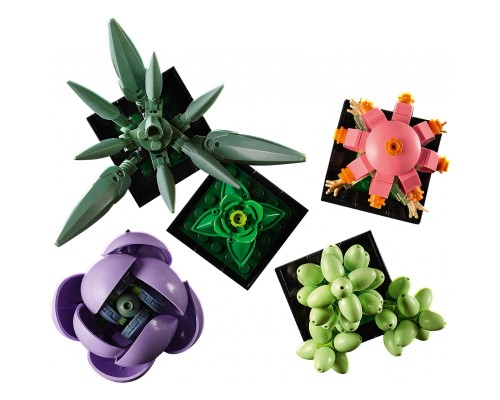 Конструктор LEGO Botanicals Сукуленти (10309-)
