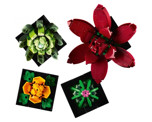 Конструктор LEGO Botanicals Сукуленти (10309-)
