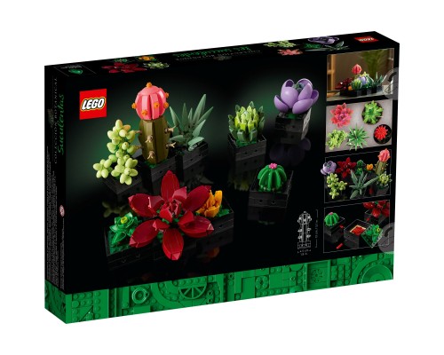 Конструктор LEGO Botanicals Сукуленти (10309-)