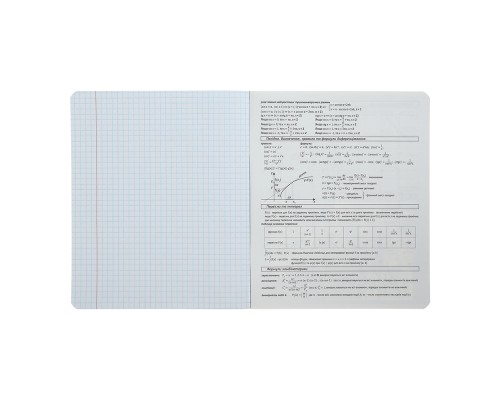 Зошит ZiBi предметний BLACK, 36 аркушів, клітинка, алгебра (ZB.1730-14)