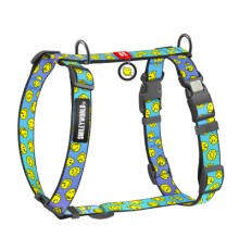 Шлея для собак WAUDOG Nylon анатомічна H-подібна з QR-паспортом 