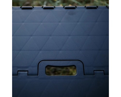 Туристичний стіл Tribe Camp Table Low пластиковий Black (T-EF-0003-black)