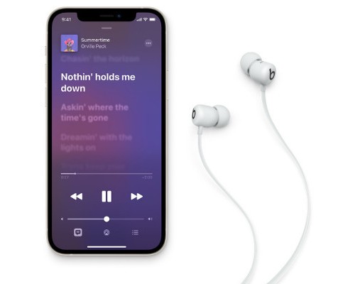 Навушники Beats Flex All-Day Wireless Smoke Gray (MYME2ZM/A)