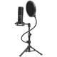 Мікрофон Lorgar Voicer 721 (LRG-CMT721)