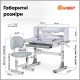 Парта зі стільцем Evo-kids Grey (BD-21 G)