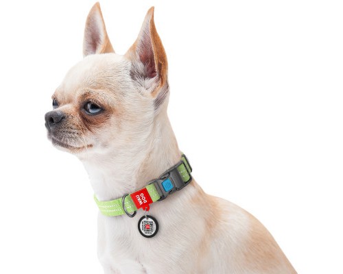 Нашийник для тварин WAUDOG Re-cotton з QR паспортом світловідбивний Ш 20 мм Д 28-40 см салатовий (02885)