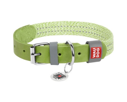 Нашийник для тварин WAUDOG Classic зі шкіри та відновленої бавовни L 25 мм х 38-49 см салатовий (58935)