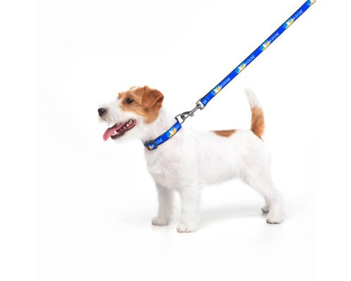 Повідок для собак WAUDOG Nylon 