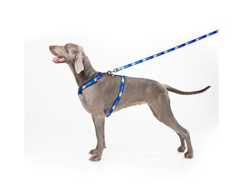 Повідок для собак WAUDOG Nylon 