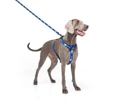 Повідок для собак WAUDOG Nylon 