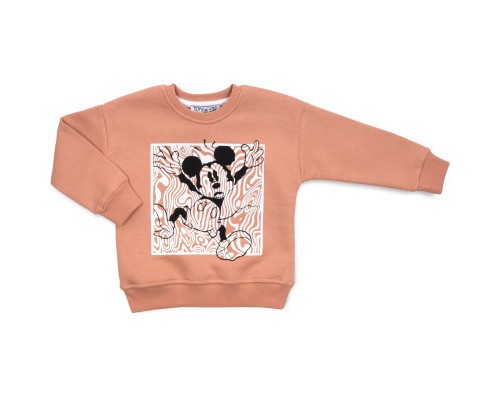 Спортивний костюм дитячий Smile флісовий (23197-104G-brown)