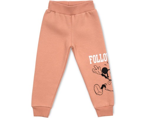 Спортивний костюм дитячий Smile флісовий (23197-104G-brown)
