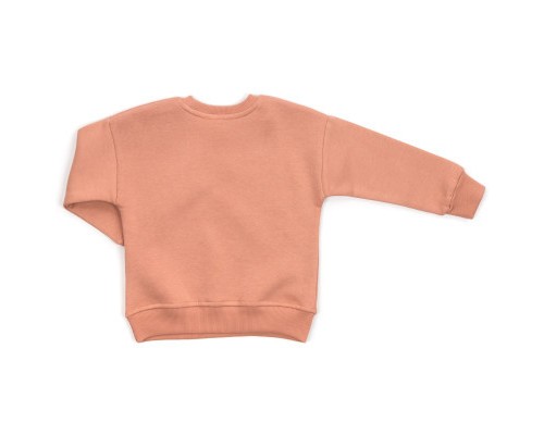 Спортивний костюм дитячий Smile флісовий (23197-104G-brown)