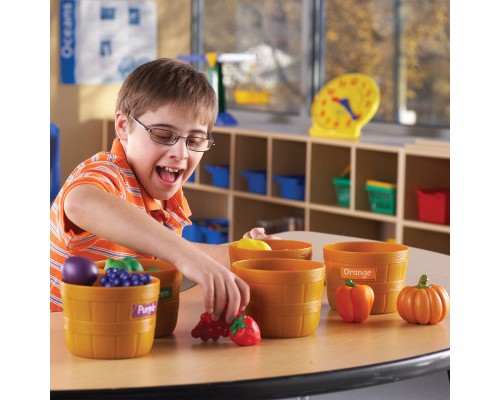 Розвиваюча іграшка Learning Resources Навчальний ігровий набір-сортер – Фермерський ринок (LER3060)