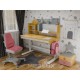 Парта з кріслом Mealux Timberdesk L (парта+кресло+тумба) (BD-690 L+ box BD 920-2 PN+Y-110 DPG)