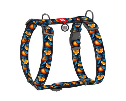 Шлея для собак WAUDOG Nylon з QR-паспортом анатомічна H-подібна 