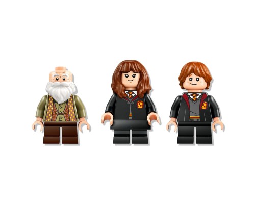 Конструктор LEGO Harry Potter Замок Гоґвортс: урок чарів (76442)