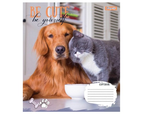 Зошит 1 вересня Be cute А5 12 аркушів лінія (766941)