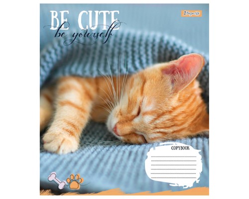 Зошит 1 вересня Be cute А5 12 аркушів лінія (766941)