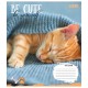 Зошит 1 вересня Be cute А5 12 аркушів лінія (766941)