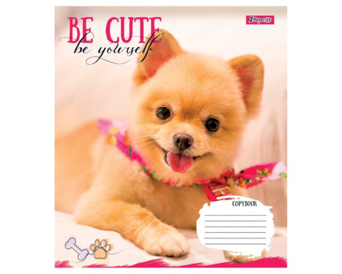 Зошит 1 вересня Be cute А5 12 аркушів лінія (766941)