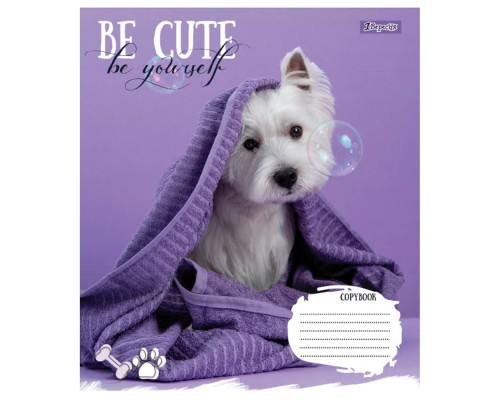 Зошит 1 вересня Be cute А5 12 аркушів лінія (766941)