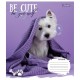 Зошит 1 вересня Be cute А5 12 аркушів лінія (766941)