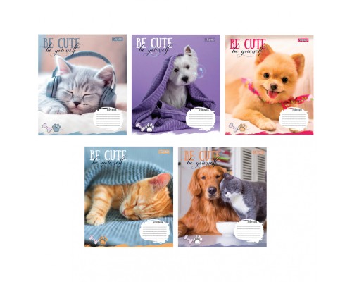 Зошит 1 вересня Be cute А5 12 аркушів лінія (766941)
