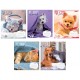 Зошит 1 вересня Be cute А5 12 аркушів лінія (766941)