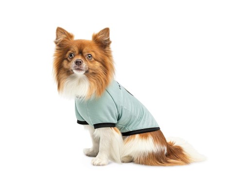 Футболка для тварин Pet Fashion Oscar XS2 блакитна (4823082441372)
