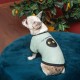 Футболка для тварин Pet Fashion Oscar XS2 блакитна (4823082441372)