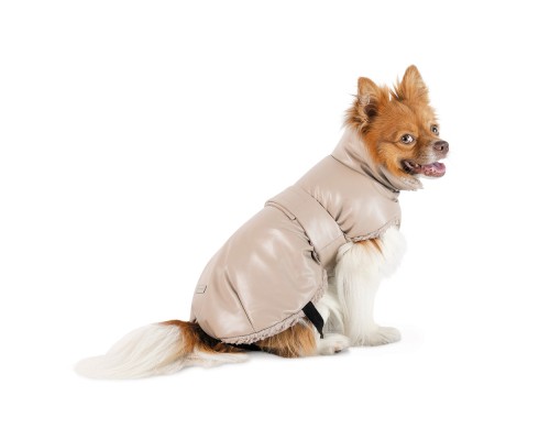 Попона для тварин Pet Fashion Mikki S бежева (4823082443109)