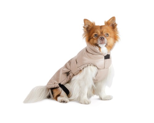 Попона для тварин Pet Fashion Mikki S бежева (4823082443109)