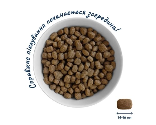 Сухий корм для собак Home Food ADULT MEDIUM/MAXI For active adult and junior dogs з ягням та рисом 10 кг (4820235020453)