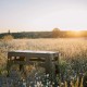 Туристичний стіл Tribe Camp Table Low пластиковий Olive (T-EF-0003-olive)