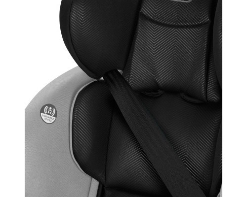 Автокрісло Evenflo EveryStage LX Gamma (32884197576)