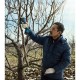 Секатор Bosch Pro Pruner (без АКБ та ЗП) (0.601.9K1.020)
